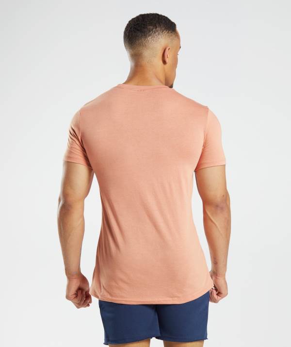 Panske Tricka Gymshark Legacy Ruzove | JY2741093